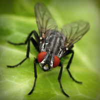 /album/teravs44/photolia-a01-jpg/