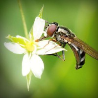 /album/teravs44/photolia-a02-jpg/