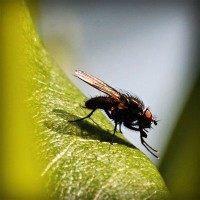 /album/teravs44/photolia-a04-jpg/