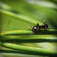 /album/teravs44/photolia-a05-jpg/