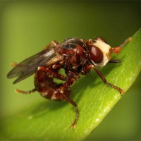 /album/teravs44/photolia-a06-jpg/