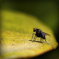 /album/teravs44/photolia-a07-jpg/