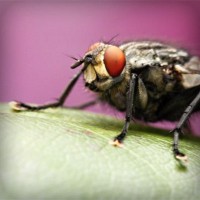 /album/teravs44/photolia-a08-jpg/